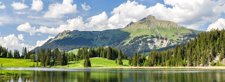 Lauenensee, an iconic lake in the Bernese Alps at 1380 m a.s.l. A recent MSc thesis provided clear evidence that agricultural activity since the late Neolithic (ca. 5700 cal. BP) caused significant change in the species composition of subalpine forests in the area (Rey et al., 2013).