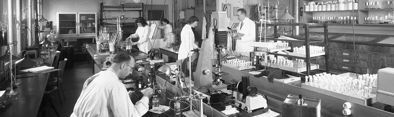 Lab of Prof. William Henry Schopfer in  1956