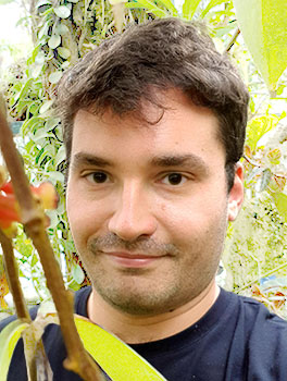Dr. Fabio Benedetti