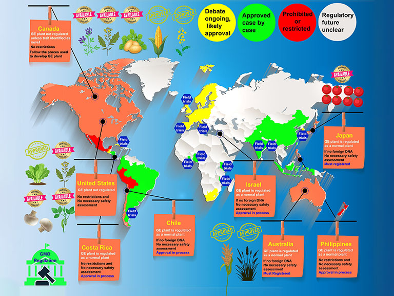Precision harvest: path to genetically modified organism-free crops with CRISPR by 2035