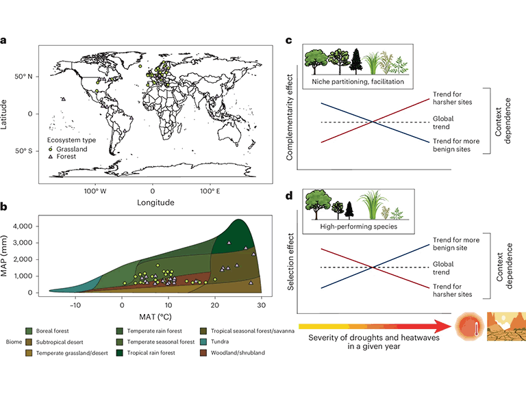 Geographic and climatic distribution of biodiversity experiments and conceptual framework used in this study