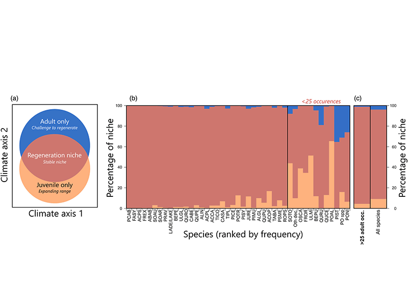 Niche partitioning of NFI species indicates large niche overlaps across developmental states.