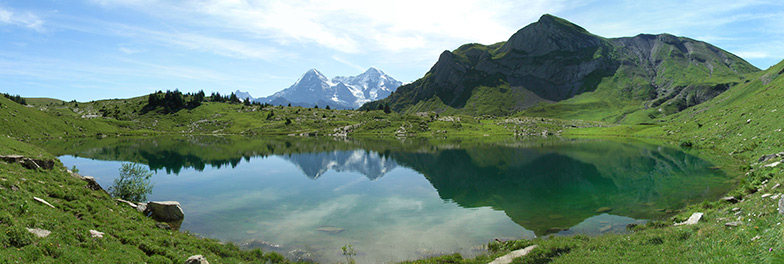 Sulsseewli, a small lake in the Bernese Alps just below the treeline (1921 m a.s.l.). The lake has recently been cored by our group for a joint project with the University of Tromsø to reconstruct past vegetation changes using environmental DNA. The lake would also be an ideal study site to look at intraspecific changes in genetic diversity through time using aDNA.