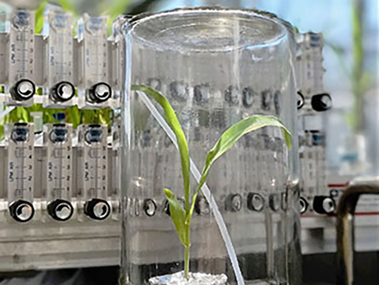 Plantlab