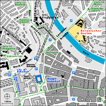 Map with bus lines