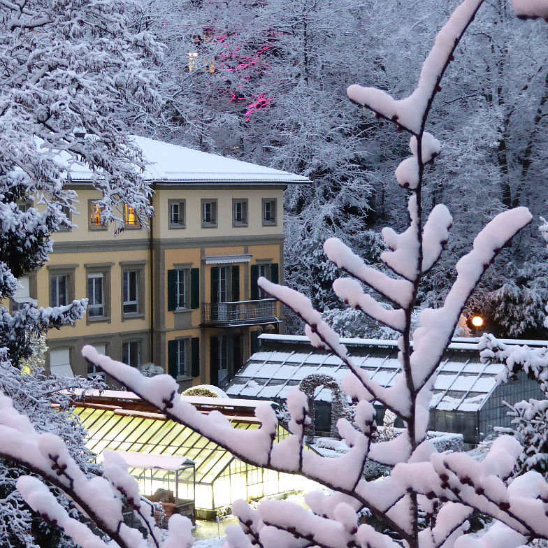 One winter morning at the entrance of the botanical garden