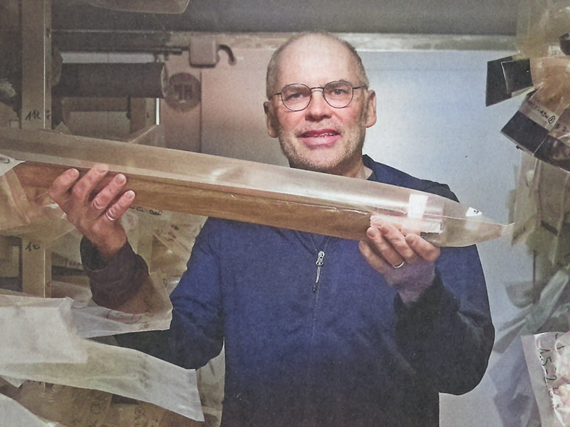 Junge Weisstannen gedeihen bei Montalcino in der Toskana in mediterranem Klima zusammen mit verschiedenen Eichenarten