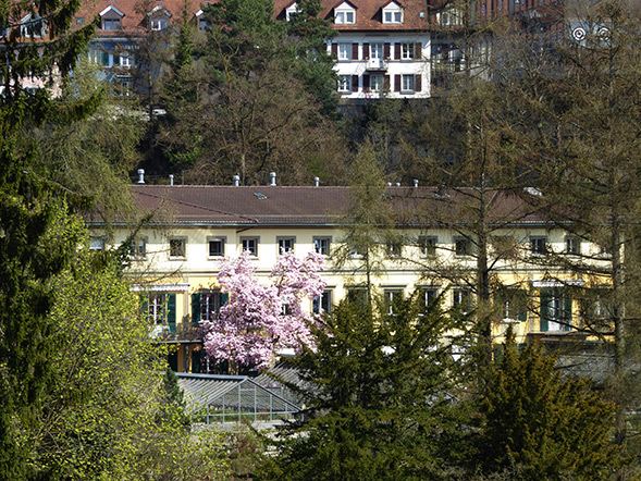 Titelbild: Institut für Pflanzenwissenschaften